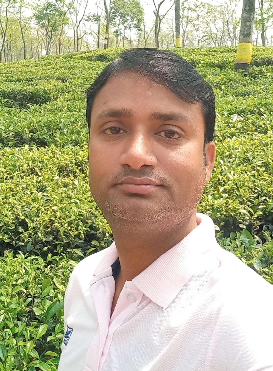 हिंदी है हमारी शान