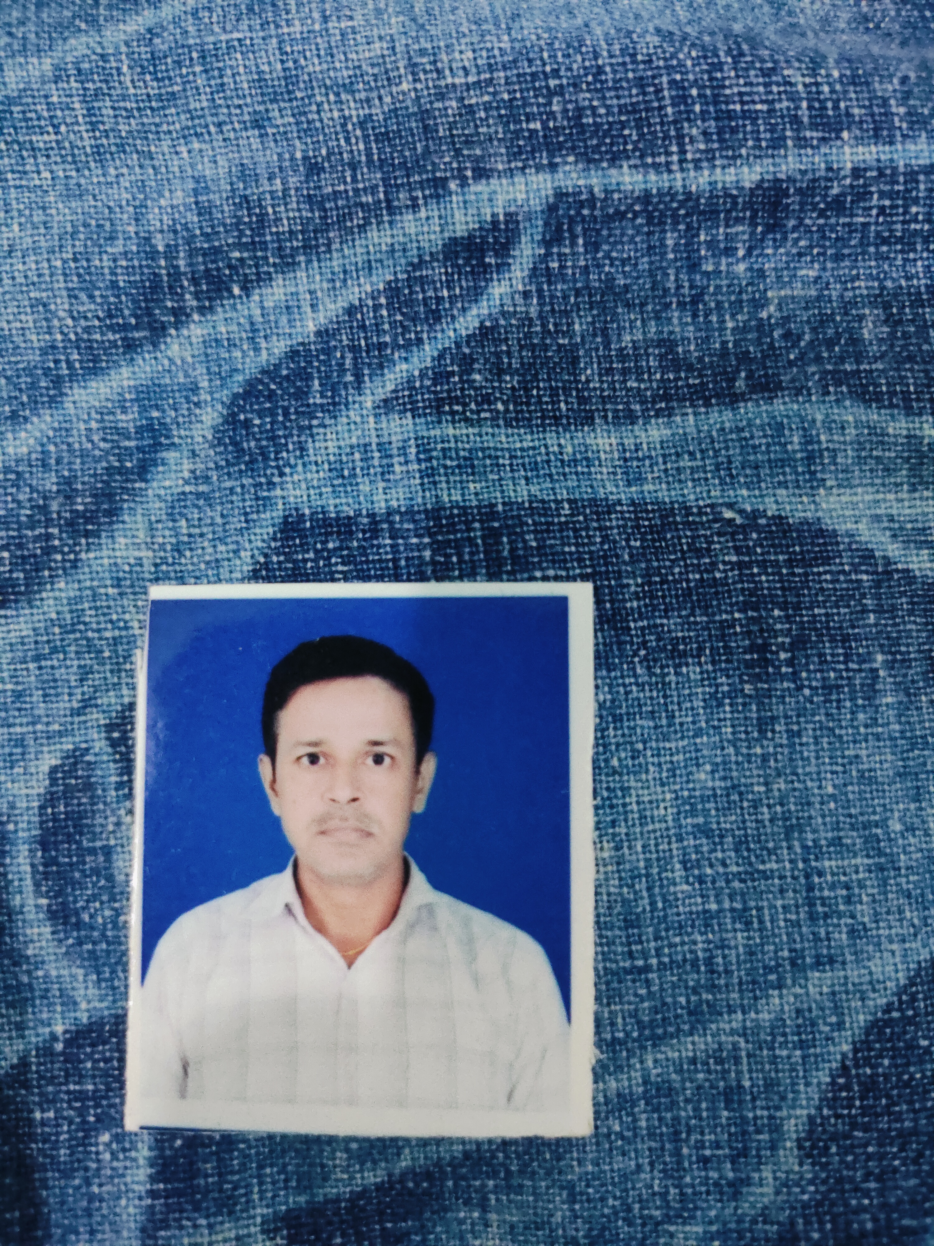 हमारी हिंदी
